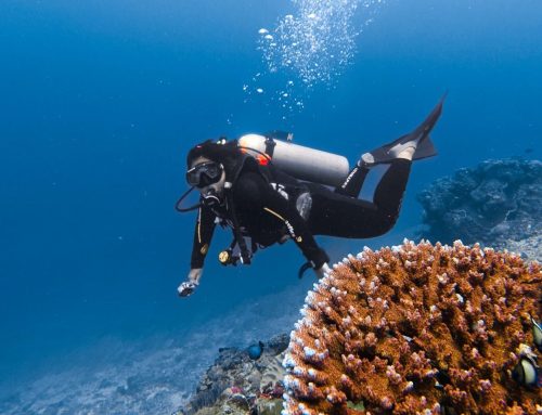 This is What Diah Says After Completing Her SCUBA Certification with DIVE INDO ID in Lombok