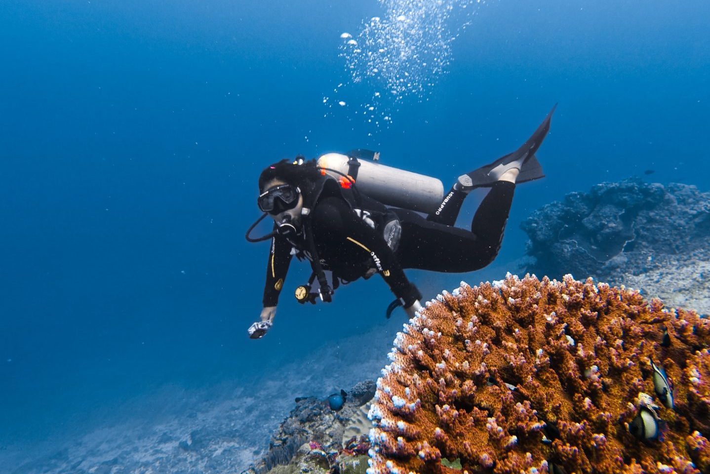 diah dive with dive indo