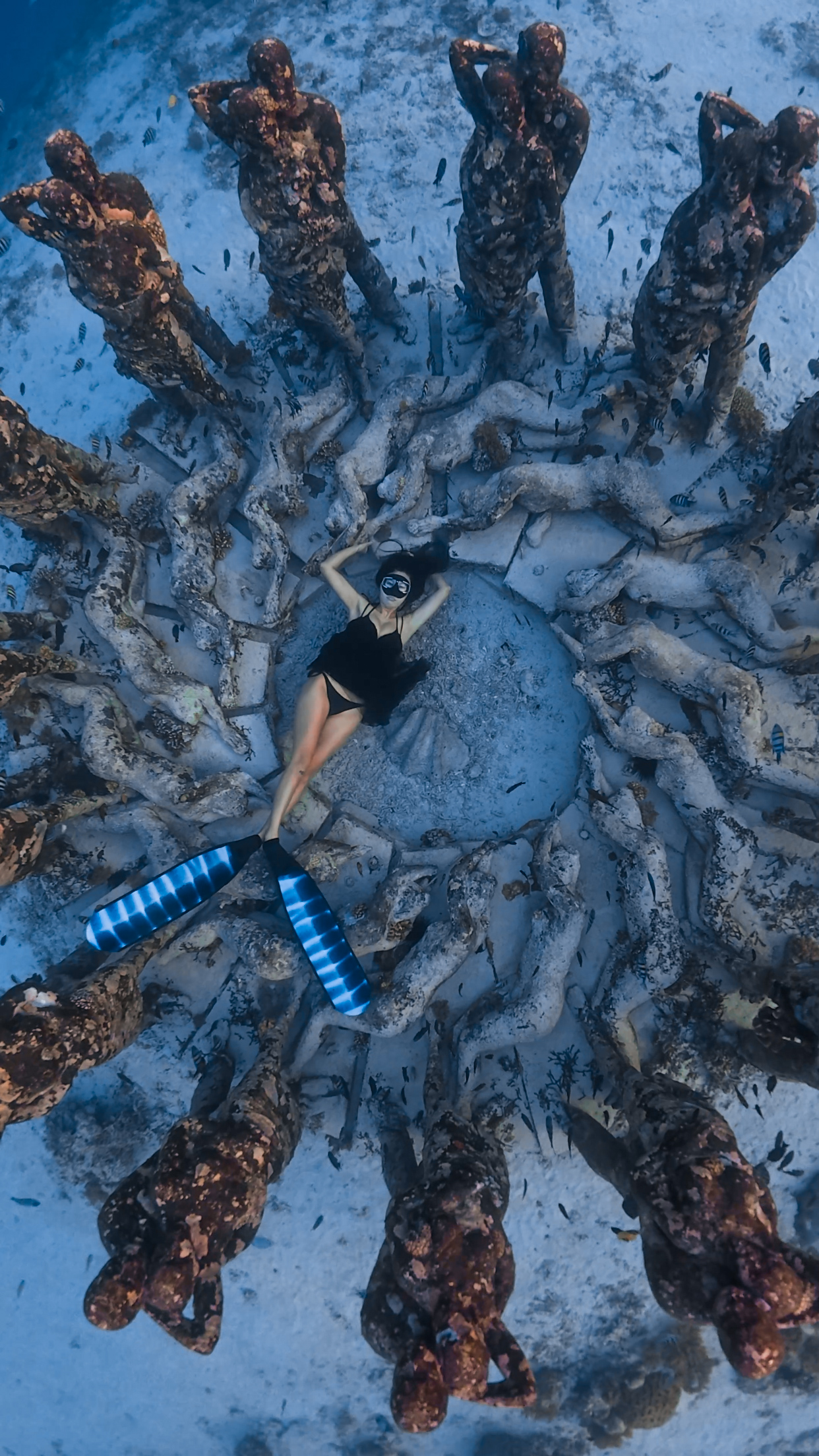 Freediving dive indo id