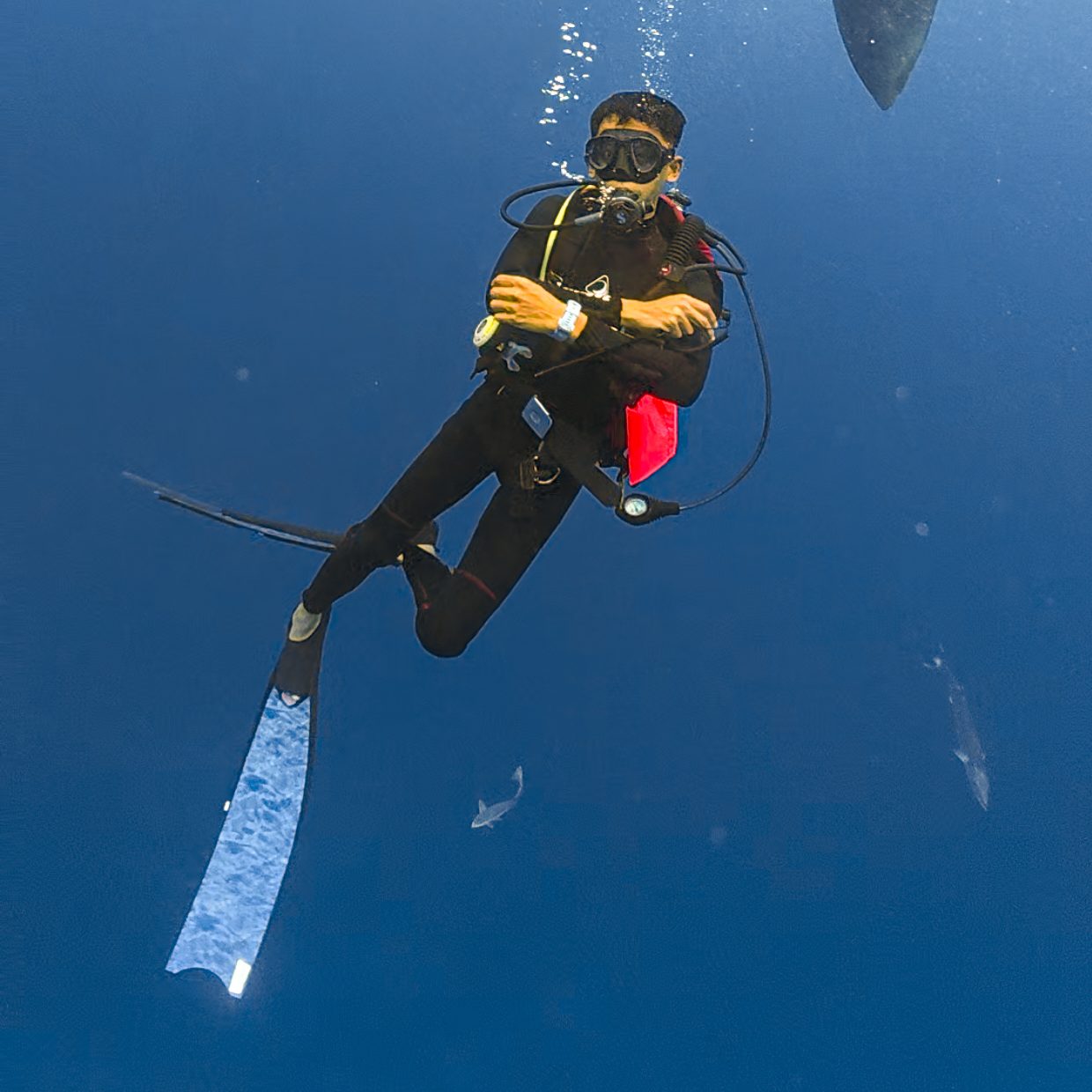 scuba certification dive indo id