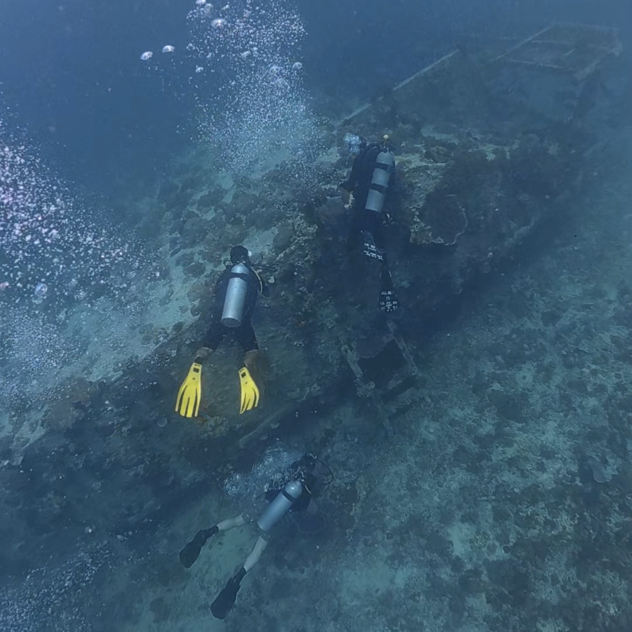Bounty Shipwreck Gili Meno