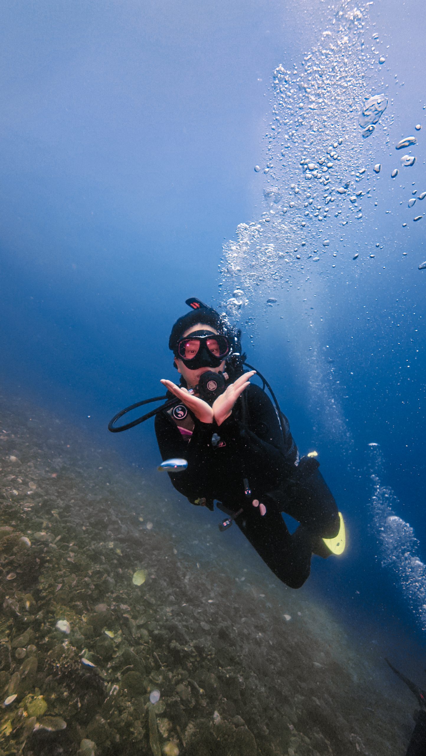 scuba diver, jibriel dive indo id